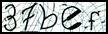 Texto para introducir
